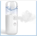 Face Steamer
